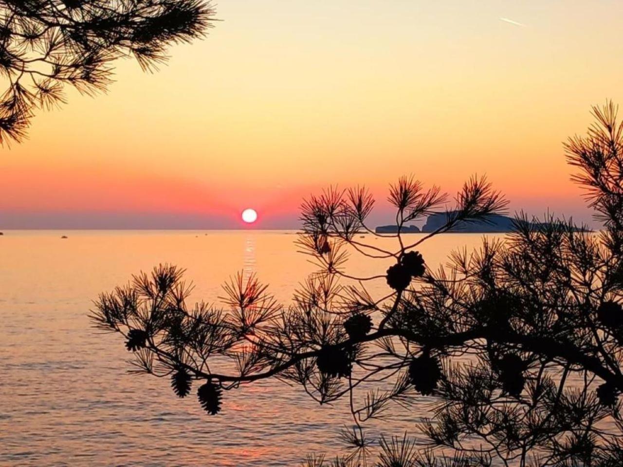 New Apartment Roko Zvekovica -Cavtat,Near Dubrovnik Airport Екстер'єр фото
